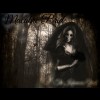 My Dark Album Macabre Bride
